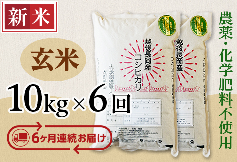 E1-G106A【6ヶ月連続お届け】新潟県長岡産コシヒカリ玄米10kg