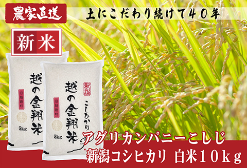 J8-7N101A【越の金翔米】新潟県長岡産コシヒカリ10kg（特別栽培米）