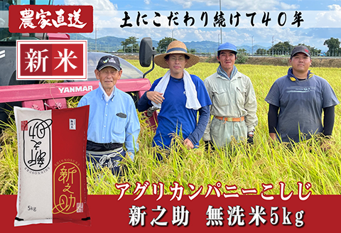 J8-7MS051A新潟県長岡産　新之助　無洗米5kg
