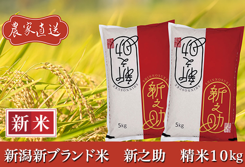 J8-7S101新潟県長岡産　新之助　10kg（5kg×2袋）