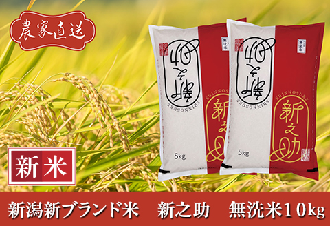 J8-7MS101新潟県長岡産　新之助　無洗米10kg（5kg×2袋）