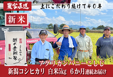 J8-7N056【6ヶ月連続お届け】新潟県長岡産コシヒカリ5kg（特別栽培米）