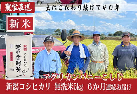 J8-7MN056A【6ヶ月連続お届け】新潟県長岡産コシヒカリ無洗米5kg（特別栽培米）