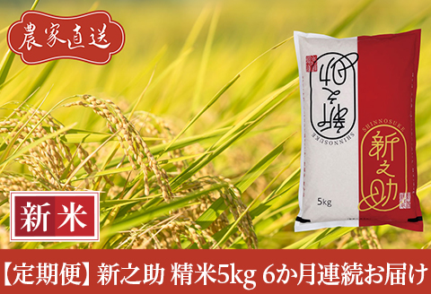 J8-7S056【6ヶ月連続お届け】新潟県長岡産　新之助　5kg