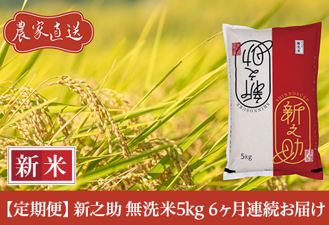 J8-7MS056【6ヶ月連続お届け】新潟県長岡産　新之助　無洗米5kg