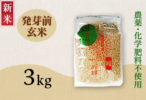 E1-H031A新潟県長岡産コシヒカリ 発芽前玄米 3kg