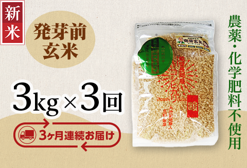 E1-H033A【3ヶ月連続お届け】新潟県長岡産コシヒカリ 発芽前玄米 3kg