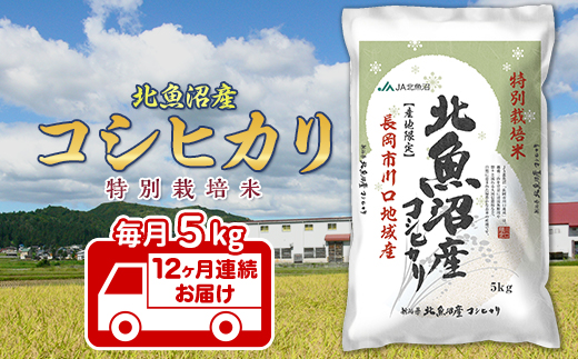 7T05-Z【12ヶ月連続お届け】北魚沼産コシヒカリ特別栽培米5kg（長岡川口地域）【2025年12月発送開始】