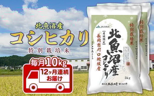 7T10-Z【12ヶ月連続お届け】北魚沼産コシヒカリ特別栽培米10kg（長岡川口地域）【2025年12月発送開始】