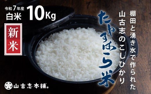 G3-7K10旧山古志村のこしひかり「たねすはら米」白米10kg（新潟県産コシヒカリ）
