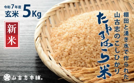 G3-7G05旧山古志村のこしひかり「たねすはら米」玄米5kg（新潟県産コシヒカリ）