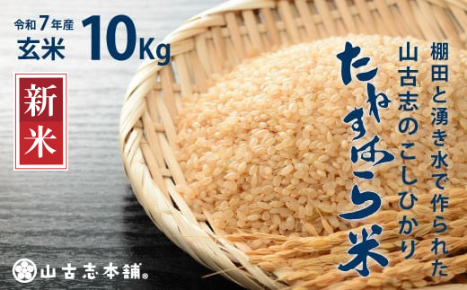 G3-7G10旧山古志村のこしひかり「たねすはら米」玄米10kg（新潟県産コシヒカリ）