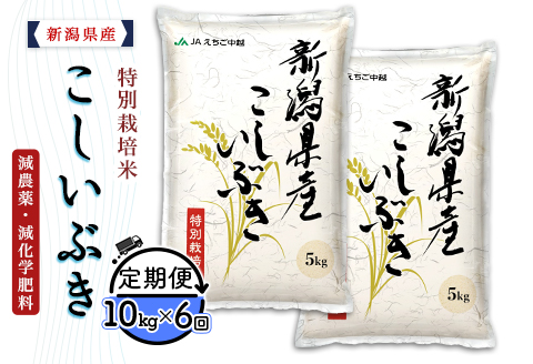 75-7K106【6ヶ月連続お届け】新潟県長岡産特別栽培米こしいぶき10kg（5kg×2袋）【2026年3月発送開始】
