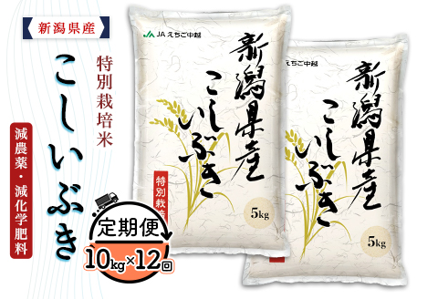 75-7K10Z【12ヶ月連続お届け】新潟県長岡産特別栽培米こしいぶき10kg（5kg×2袋）【2026年3月発送開始】