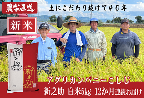 J8-7S05Z【12ヶ月連続お届け】新潟県長岡産 新之助 5kg