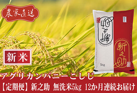 J8-7MS05Z【12ヶ月連続お届け】新潟県長岡産 新之助 無洗米5kg