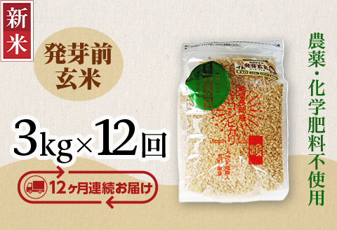 E1-H03ZA【12ヶ月連続お届け】新潟県長岡産コシヒカリ 発芽前玄米 3kg