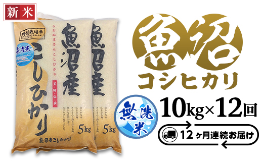 C2-7M10ZB【12ヶ月連続お届け】新潟県魚沼産特別栽培米コシヒカリ無洗米10kg（5kg×2袋）（長岡川口地域）