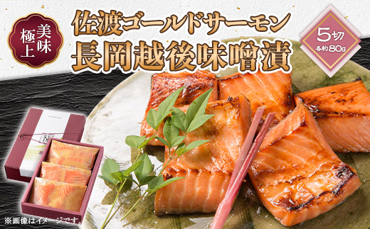66-15美味極上　佐渡ゴールドサーモンの長岡越後味噌漬 5切入