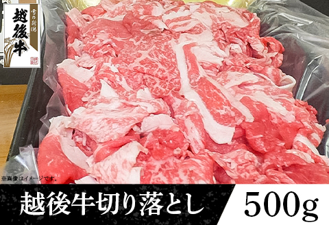 63-45A新潟県産 越後牛切り落とし500g