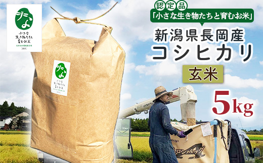 25-7GC051【玄米】新潟県長岡産コシヒカリ5kg【「小さな生き物たちと育むお米」認証品】