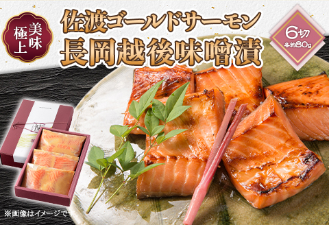 66-16美味極上　佐渡ゴールドサーモンの長岡越後味噌漬 6切入