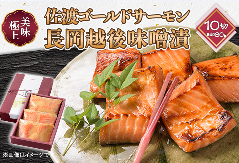 66-18A美味極上　佐渡ゴールドサーモンの長岡越後味噌漬 10切入