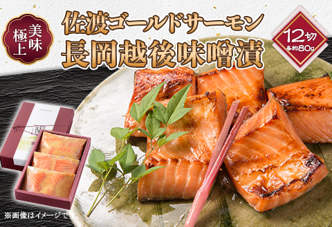 66-19A美味極上　佐渡ゴールドサーモンの長岡越後味噌漬 12切入