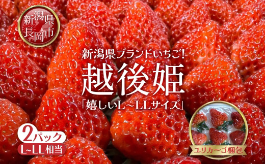 O9-13新潟県長岡産いちご「越後姫」420g 2パック