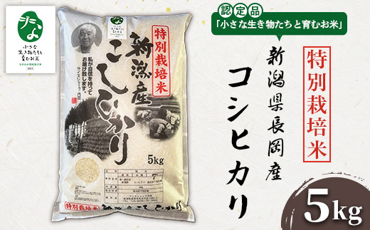 P1-01新潟県長岡産特別栽培米コシヒカリ 5kg【「小さな生き物たちと育むお米」認証品】