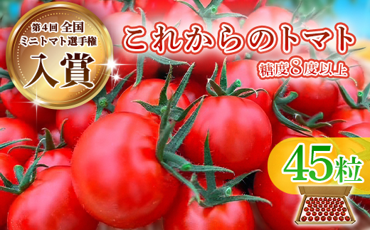 Q0-01これからのトマト 45粒