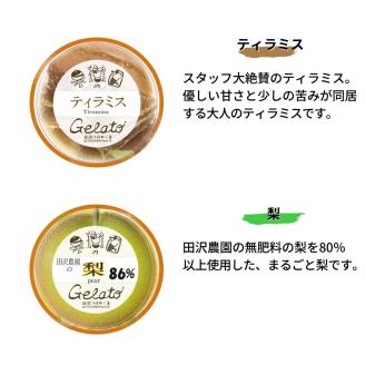 果樹園のジェラートセレクトvol.3 [6種×各2個] 合計12個セット  ジェラート詰合せ アイス詰合せ  [田沢農園] 【019S038】
