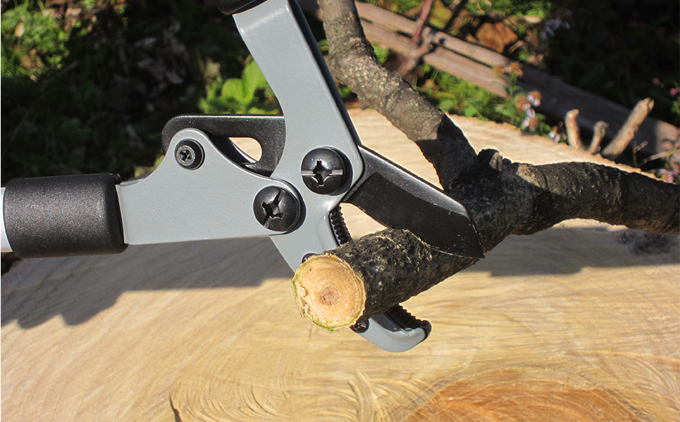 ミニラクギリ・剪定鋏セット 燕三条製 園芸・庭仕事に【013P052】