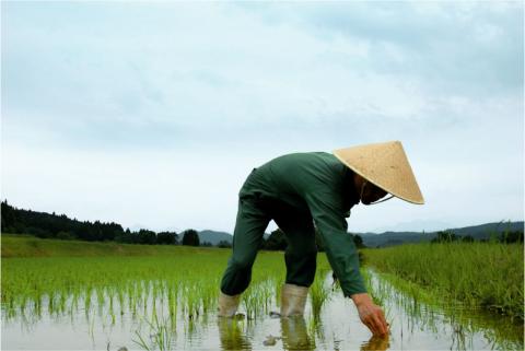 「福福」日本酒飲み比べセット（純米吟醸 720ml×2本）超辛口 純米吟醸 新潟県 日本酒 [福顔酒造]【010S095】