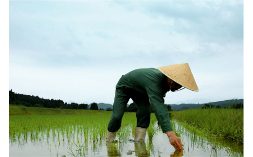 福顔飲み比べセット（720ml×2本）日本酒 超辛口 純米吟醸 本醸造 ギフトセット 新潟県  [福顔酒造]【010S013】