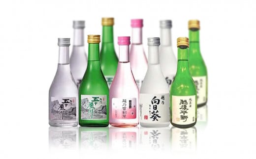 日本酒飲み比べ 300ml×10本セット（日本酒）新潟清酒 [福顔酒造] 【020P023】