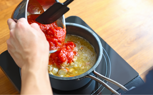 TE2NABE ソースパン16cm 鉄鍋 無水調理 特殊窒素加工で錆びにくい 鍋 キッチン用品 燕三条製 新生活 一人暮らし [プリンス工業] 【021S041】