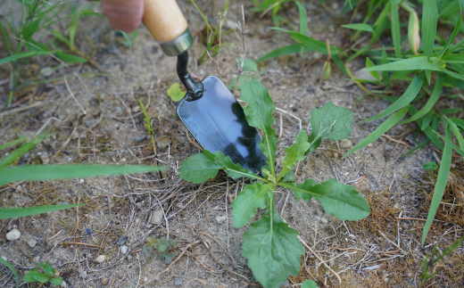 鍛冶屋さんがつくった土いじり小道具4点セット 帆布バック付 燕三条製 園芸用品 スコップ 鎌 コテ [相田合同工場] 【041S012】