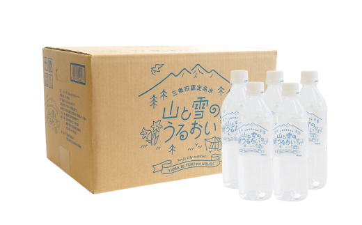 [定期便500ml×24本×9か月]ナチュラルミネラルウォーター 計500ml×216本 9か月連続でお届け 山と雪のうるおい 軟水 天然水 湧水 ミネラルウォーター 防災用品 防災グッズ【059S011】