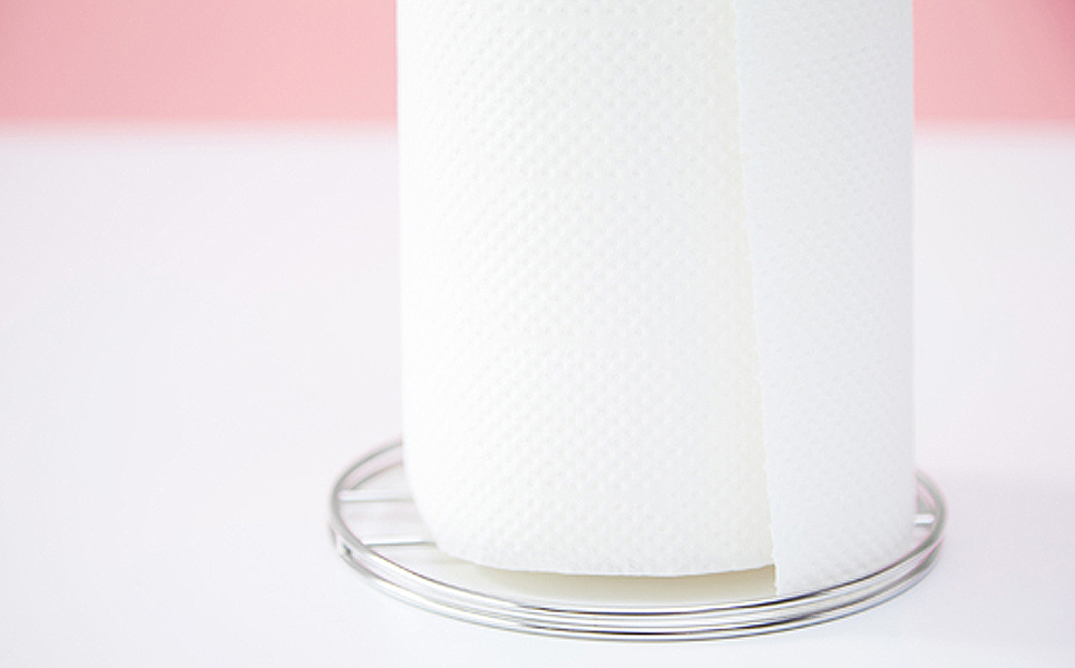 おしゃれなステンレス製キッチン用品 キッチンペーパーホルダー シルバー[ハナウタ] 【010P008】