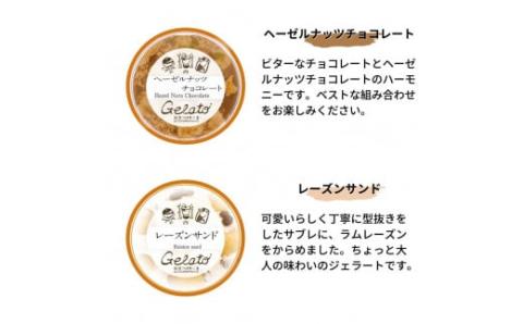 果樹園のジェラートセレクトvol.1 [6種×各1個] 合計6個セット ジェラート詰合せ アイス詰合せ [田沢農園] 【010S247】