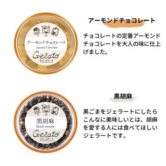 果樹園のジェラートセレクトvol.2 [6種×各2個] 合計12個セット  ジェラート詰合せ アイス詰合せ  [田沢農園] 【019S037】