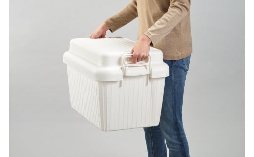 コンテナボックス ベリアスボート M レッド 蓋つき コンテナボックス 収納コンテナ アウトドア boxコンテナ 屋外収納 収納ケース 新生活 一人暮らし 10000円以下 1万円以下 【010S062】