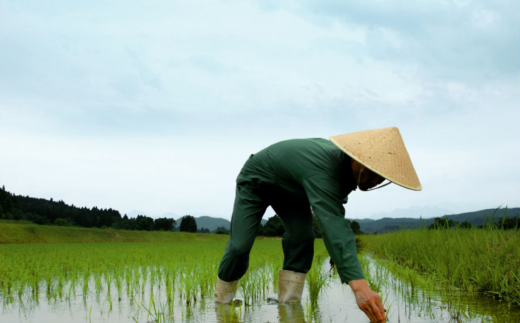 ＜限定＞ 福・福セット720mlx2本 日本酒 大吟醸 本醸造 飲み比べセット 新潟県 [福顔酒造] 【012S131】