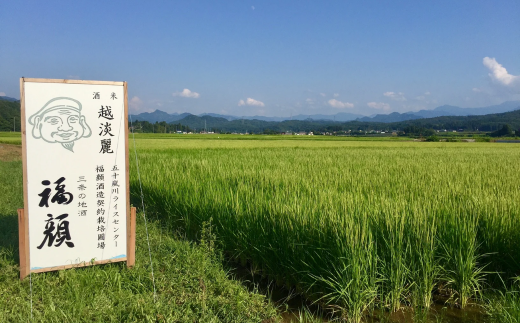 吟醸酒 越後五十嵐川 1800ml×2本 化粧箱入 日本酒 一升瓶 [福顔酒造]【017S123】