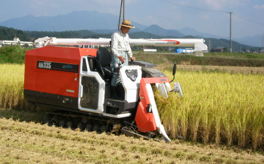新潟県認証特別栽培米 下田コシヒカリ 10kg 令和7年産 三条市産 こしひかり [堀江農園]【020S050】