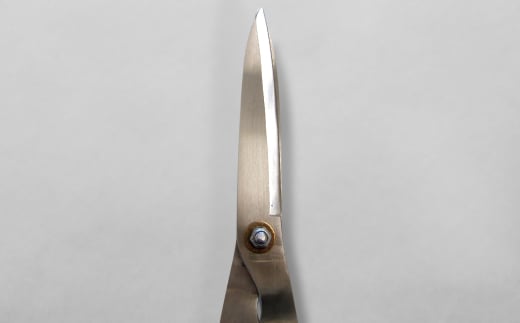 [カネノリ] 日立安来鋼付ステン刈込鋏 鋼典 火造り鍛造 刈込ばさみ ステンレス 園芸 ガーデニング [五十嵐刃物工業] 【023S007】