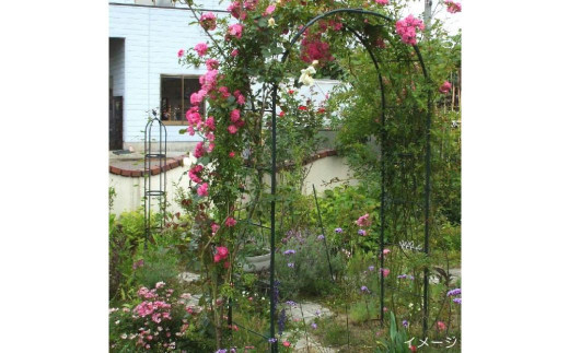 Green Garden 組立式 角パイプ製フラワーアーチ クレメント:160cm幅 ガーデニング シンプル 【103S001】