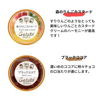 果樹園のジェラートセレクトvol.3 [6種×各1個] 合計6個セット  ジェラート詰合せ アイス詰合せ  [田沢農園] 【010S249】