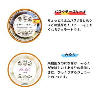 果樹園のジェラートセレクトvol.1 [6種×各2個] 合計12個セット ジェラート詰合せ アイス詰合せ [田沢農園] 【019S036】